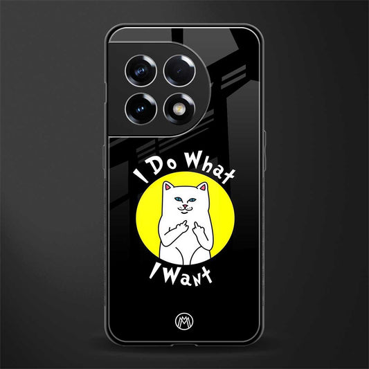 i do what i want back phone cover | glass case for oneplus 11r