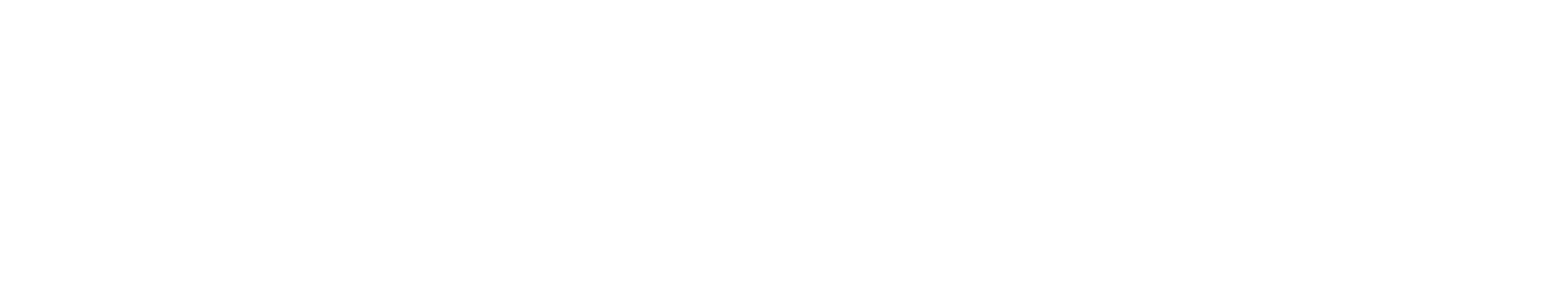 Logo Upload