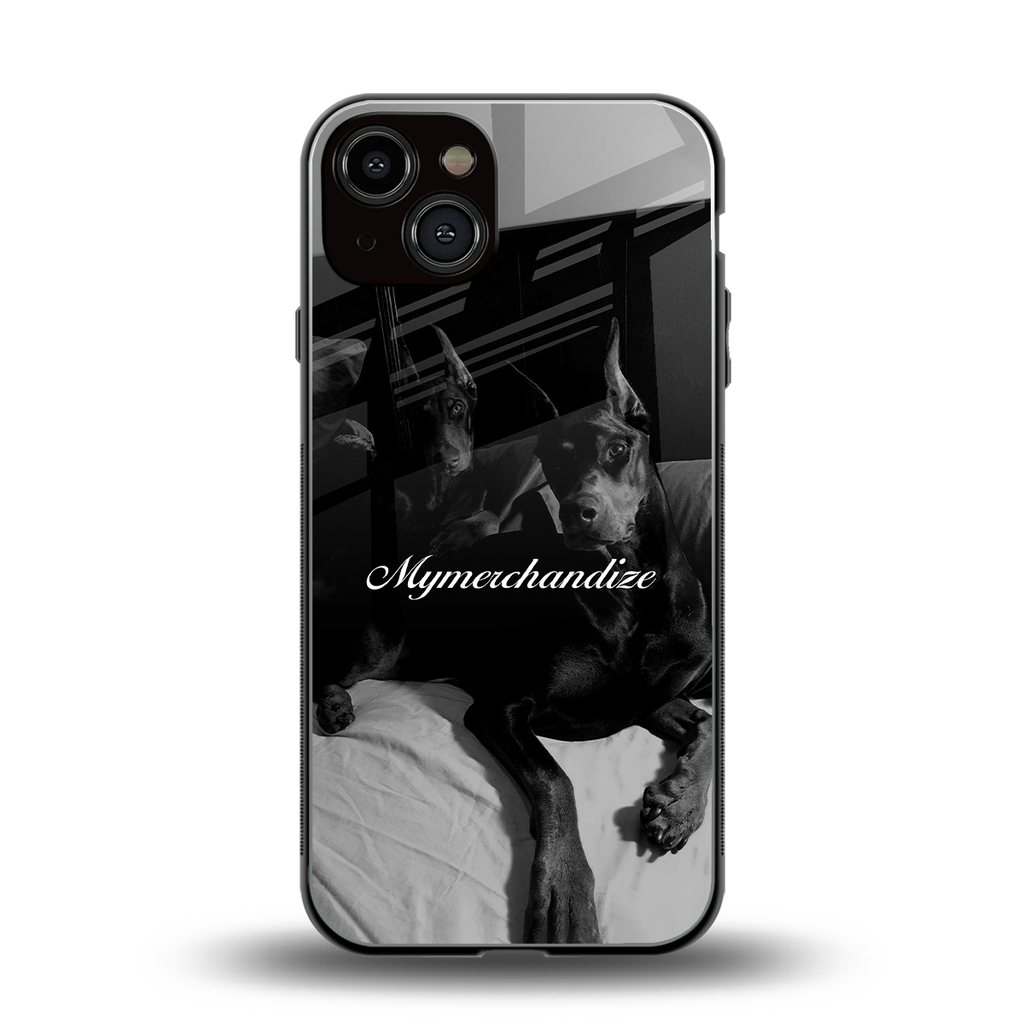 alpha pair back phone cover | glass case for iphone 13