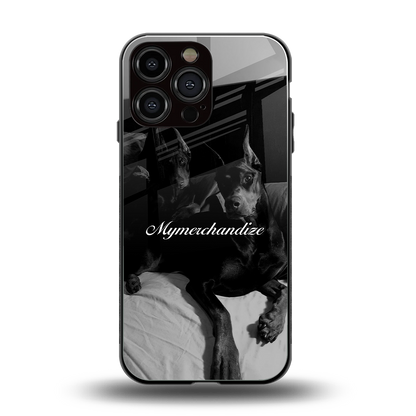 alpha pair back phone cover | glass case for iphone 14 pro max