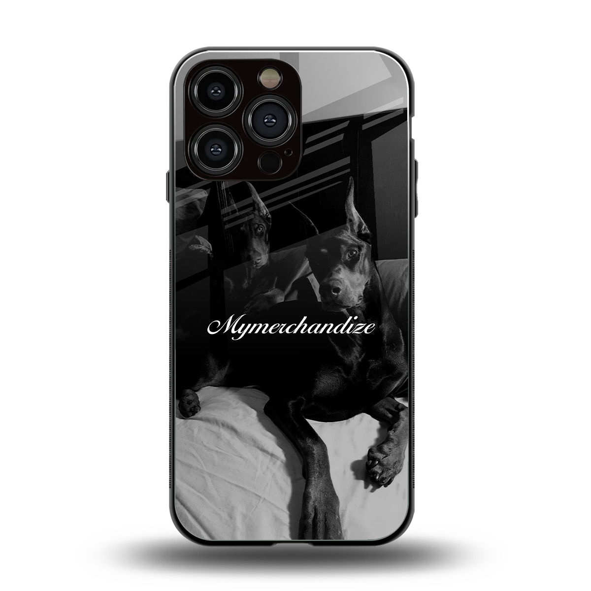alpha pair back phone cover | glass case for iphone 15 pro max