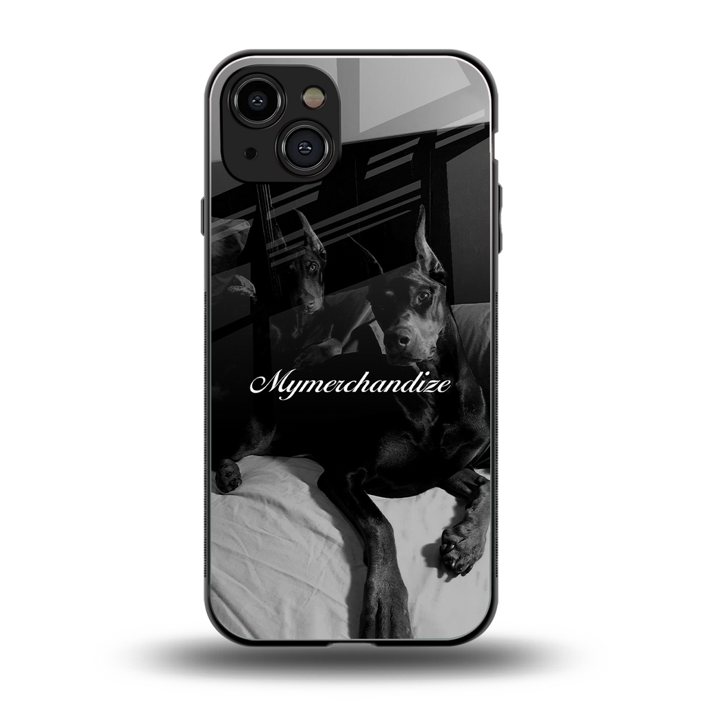alpha pair back phone cover | glass case for iphone 14