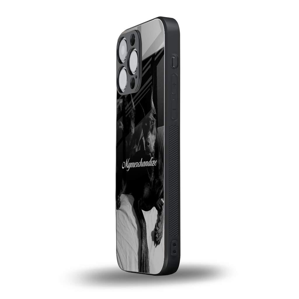 alpha pair back phone cover | glass case for iphone 16 pro max