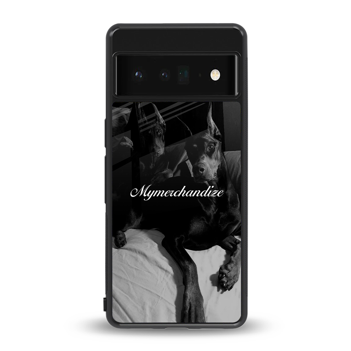 alpha pair back phone cover | glass case for google pixel 6 pro