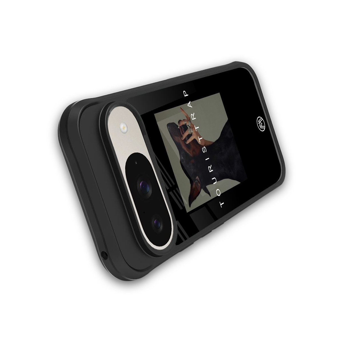 tourist trap back phone cover | glass case for google pixel 9