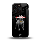 underdog back phone cover | glass case for iphone 13 pro