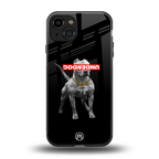 underdog back phone cover | glass case for iphone 15