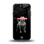 underdog back phone cover | glass case for iphone 16 pro