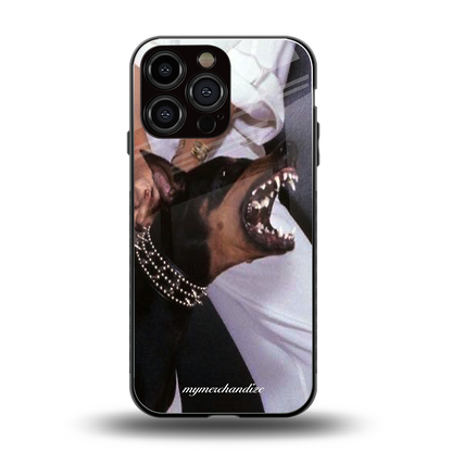 vicious back phone cover | glass case for iphone 13 pro max
