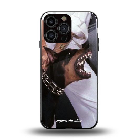 vicious back phone cover | glass case for iphone 15 pro max