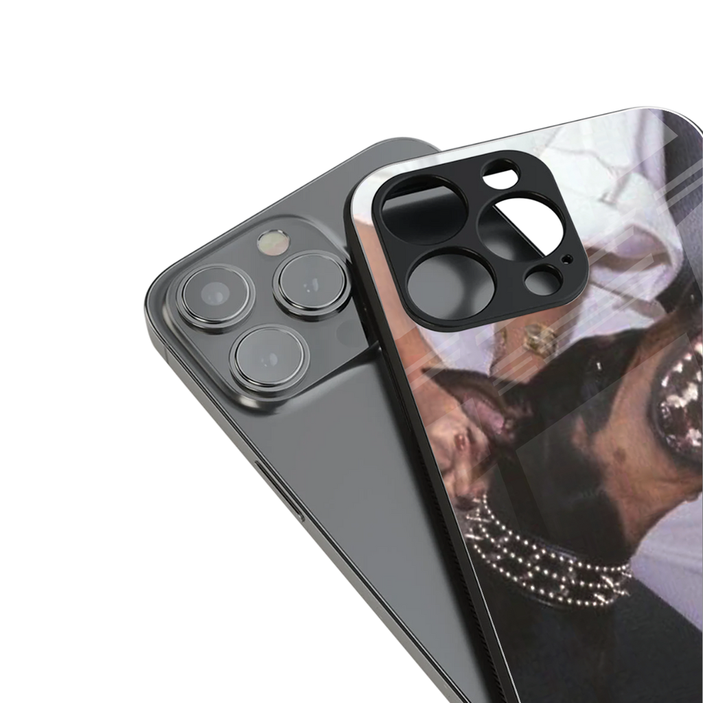 vicious back phone cover | glass case for iphone 16 pro