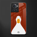 boring goose back phone cover | glass case for oneplus 10r 5g