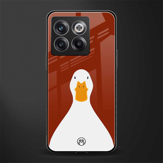 boring goose back phone cover | glass case for oneplus 10t