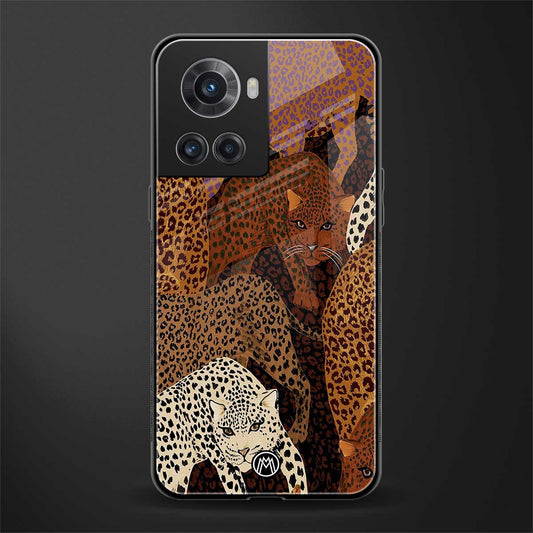 brown beasts back phone cover | glass case for oneplus 10r 5g