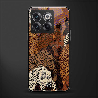 brown beasts back phone cover | glass case for oneplus 10t