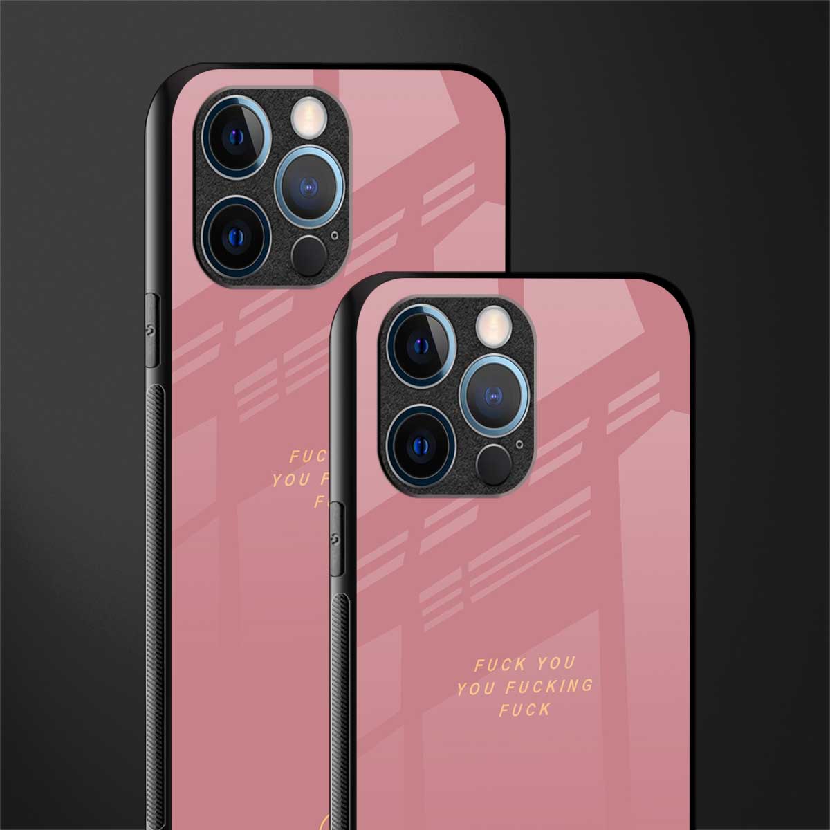 fuck you glass case for iphone 12 pro image-2