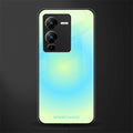 hawaiian breeze back phone cover | glass case for vivo v25 pro 5g