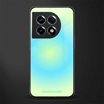 hawaiian breeze back phone cover | glass case for oneplus 11
