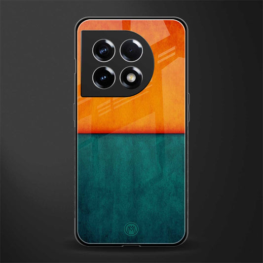 orange green back phone cover | glass case for oneplus 11