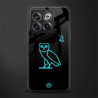 ovo back phone cover | glass case for oneplus 10t