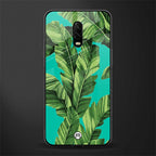 ubud jungle glass case for oneplus 6t image