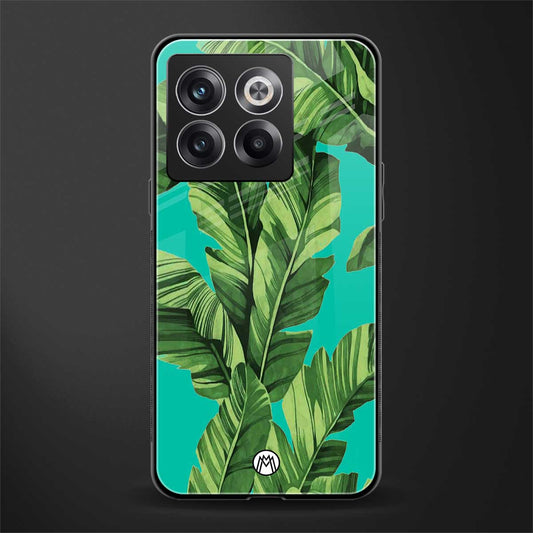 ubud jungle back phone cover | glass case for oneplus 10t